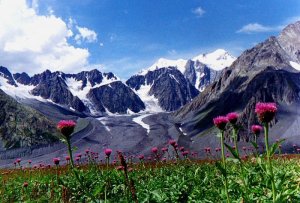Altai (3)
